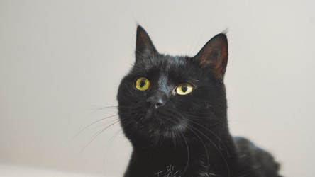 Similar image 22048832