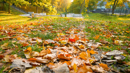 Similar image 22048839