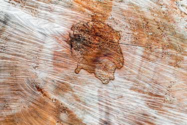 Similar image 22048841