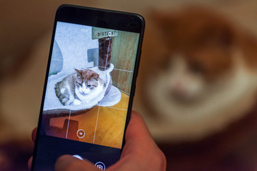 Similar image 22048843