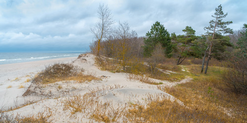 Similar image 22048849