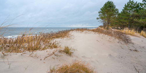 Similar image 22048850