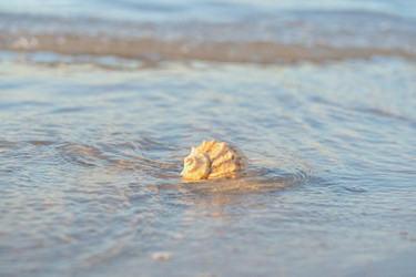 Similar image 22048851