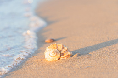 Similar image 22048853