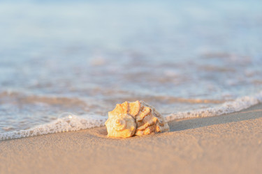 Similar image 22048854