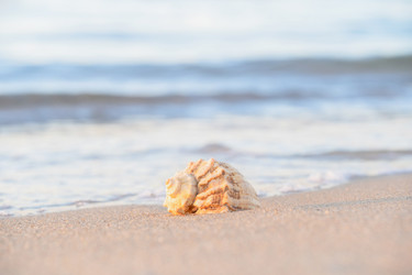 Similar image 22048855