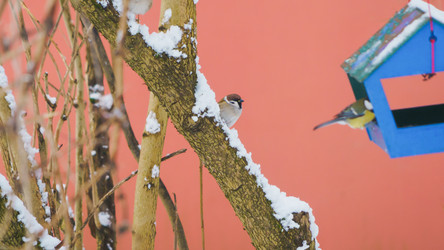 Similar image 22048856