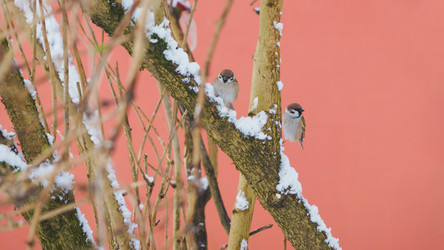 Similar image 22048857