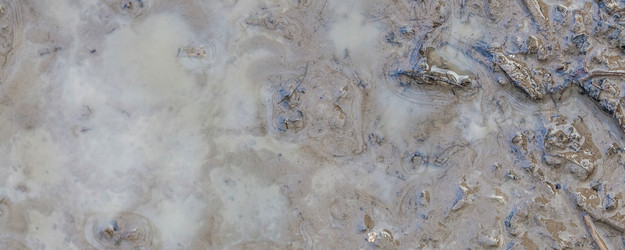 Similar image 22048873