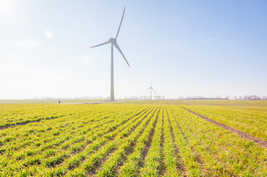 Similar image 22048874