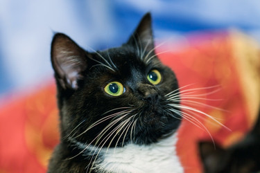 Similar image 22048882