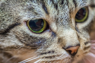 Similar image 22048883