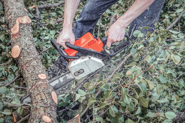 Similar image 22048884