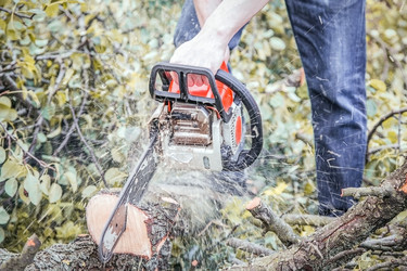 Similar image 22048885