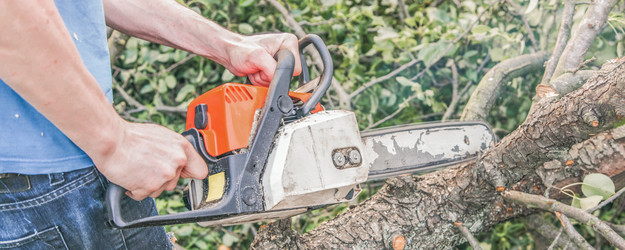 Similar image 22048886