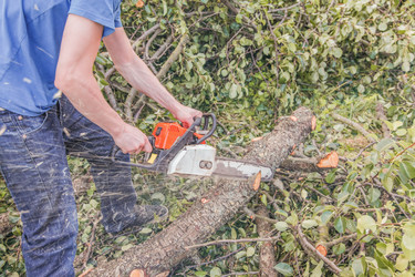 Similar image 22048887