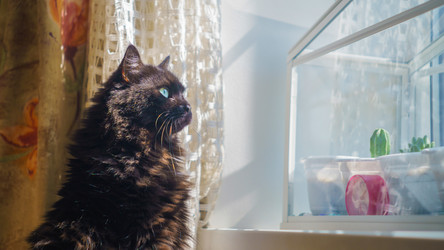 Similar image 22048888