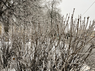 Similar image 22049050