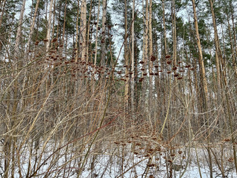 Similar image 22049051