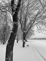 Similar image 22049053