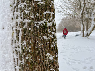 Similar image 22049056