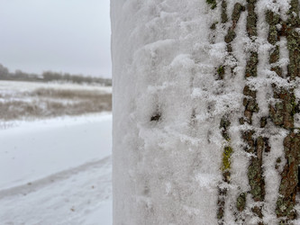 Similar image 22049058