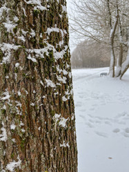 Similar image 22049062