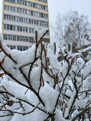 Similar image 22049063