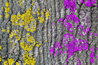 Similar image 22049066