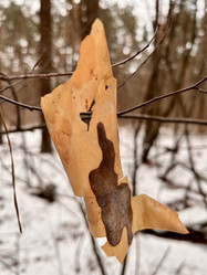 Similar image 22049068