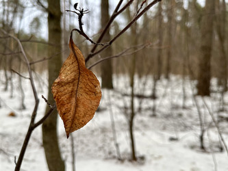 Similar image 22049070