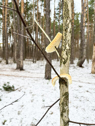 Similar image 22049077