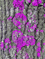 Similar image 22049081