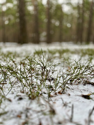 Similar image 22049083