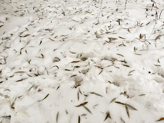 Similar image 22049086