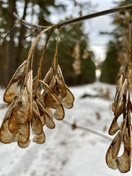 Similar image 22049088