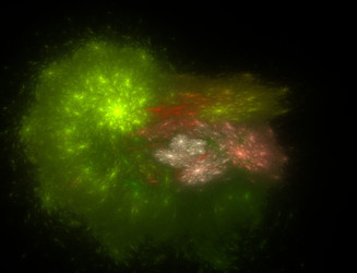 Similar image 22048923