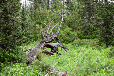 Similar image 22048890