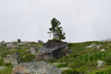 Similar image 22048892