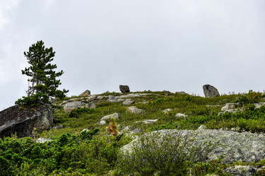 Similar image 22048894