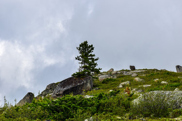 Similar image 22048895