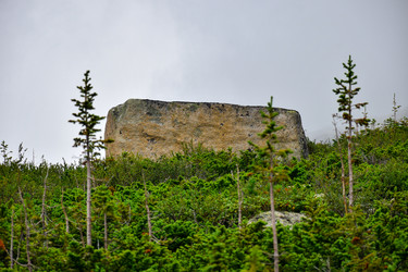 Similar image 22048896