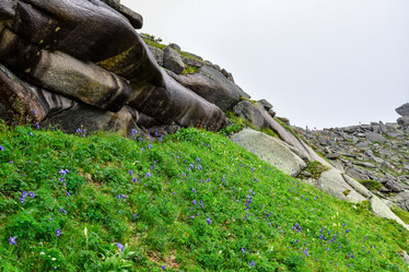 Similar image 22048906