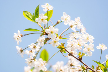 Similar image 22049095