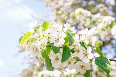 Similar image 22049096