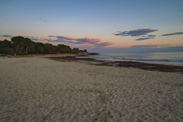 Similar image 22051421