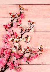 Similar image 22050953