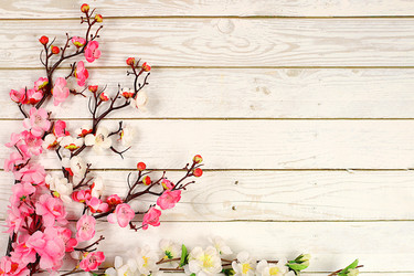 Similar image 22050954