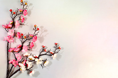 Similar image 22050955