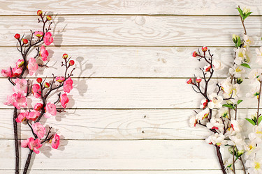 Similar image 22050957